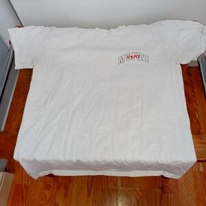 Pacsun Mt Fuji White Graphic T Shirt Size Small